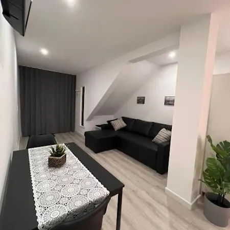 Opo - Fantastic With Garden Apartment Porto