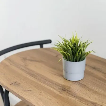 Lejlighed Opo - Fantastic With Garden Porto