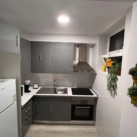 Opo - Fantastic With Garden Lejlighed Porto