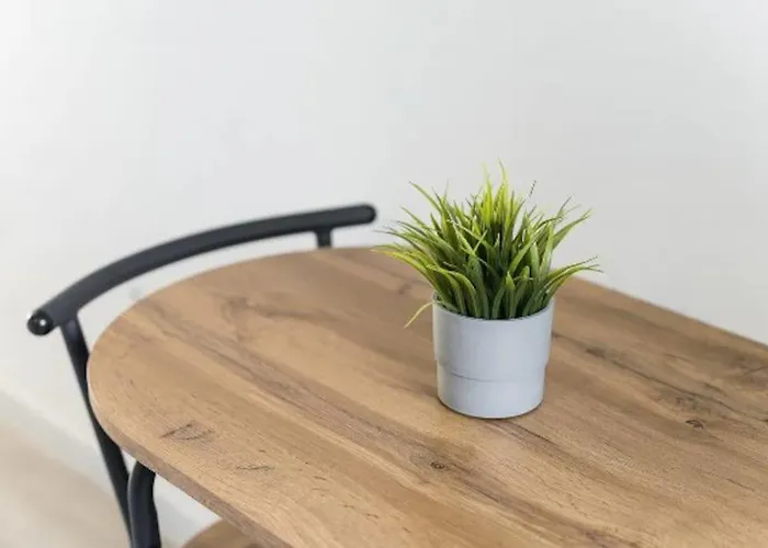 公寓 Opo - Fantastic With Garden 波尔图