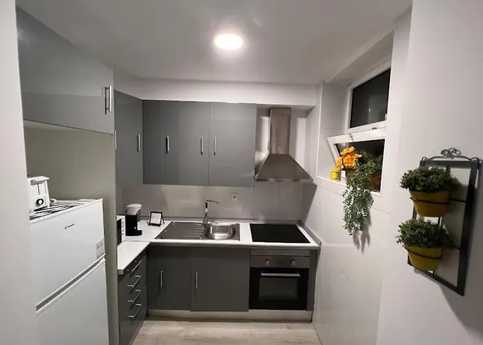 Opo - Fantastic With Garden Apartament Porto