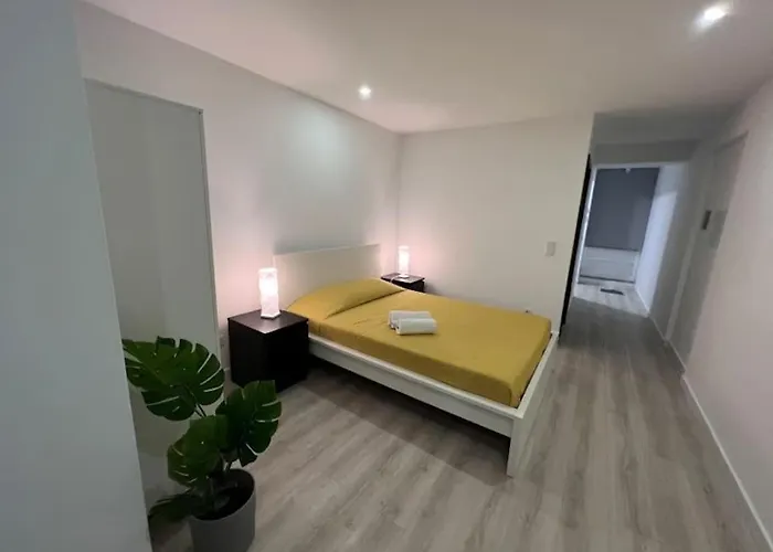 Opo - Fantastic With Garden 波尔图