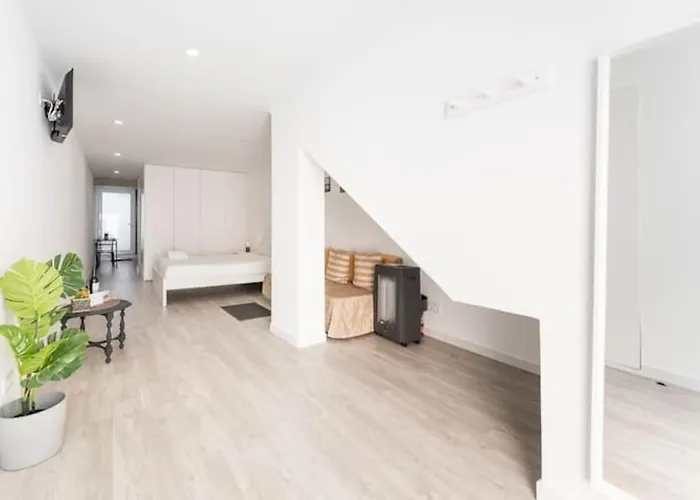 Opo - Fantastic With Garden Apartment Porto